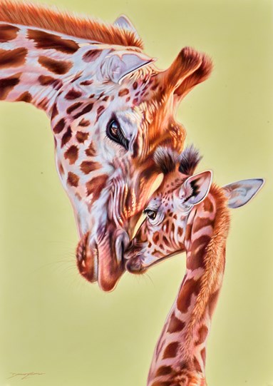 Deep Affection by Darryn Eggleton - Original Drawing on Mounted Paper